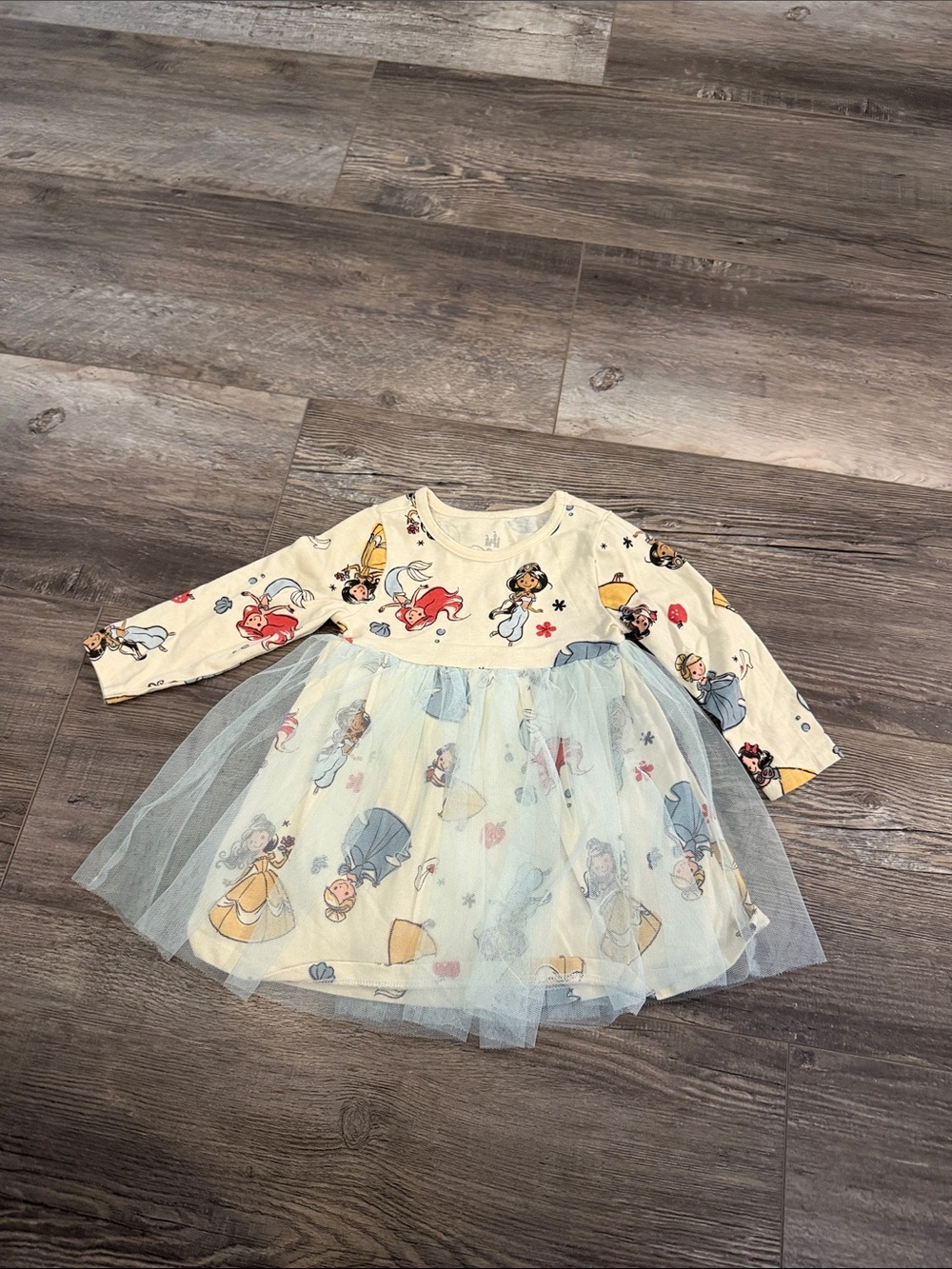Disney Girls' Cream Princess Tulle Dress with Character Print